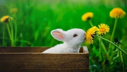 铁杆粉丝！詹姆斯晒俄亥俄州大橄榄球队定制耳机 期待新赛季